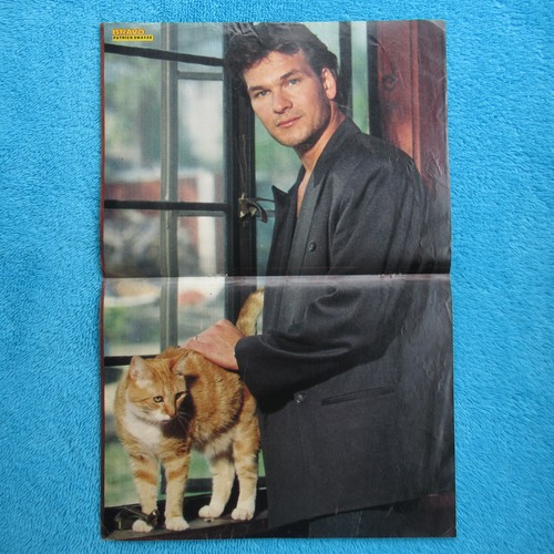 Patrick swayze bravo poster - swayze,